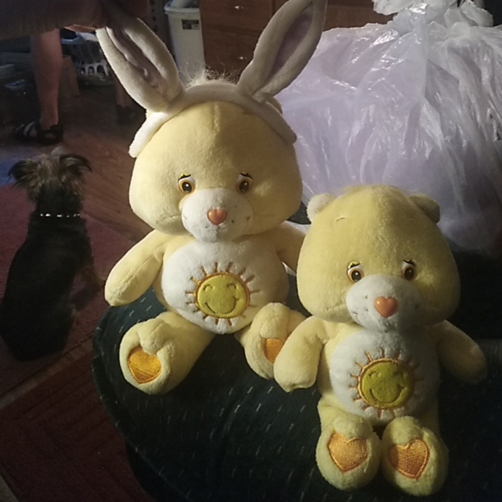 2 vintage care bears